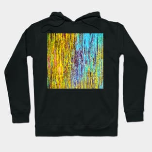 Colored painting Hoodie